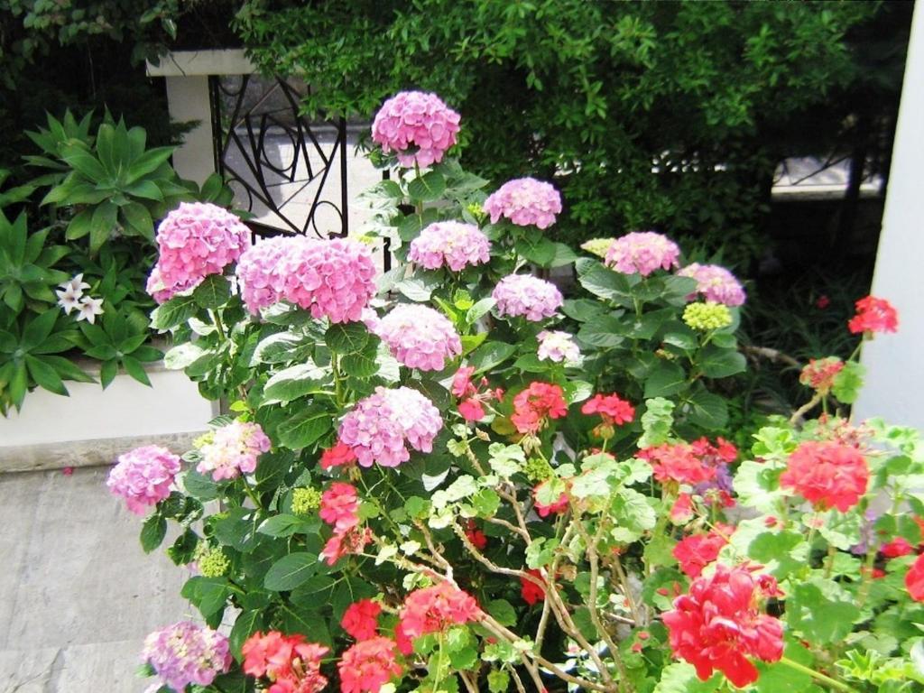 B&B Il Giardino Di Villa Anna Trecase Екстер'єр фото