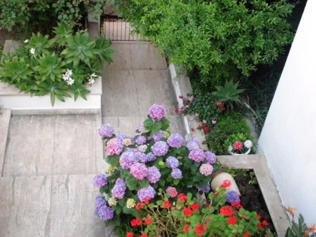 B&B Il Giardino Di Villa Anna Trecase Екстер'єр фото