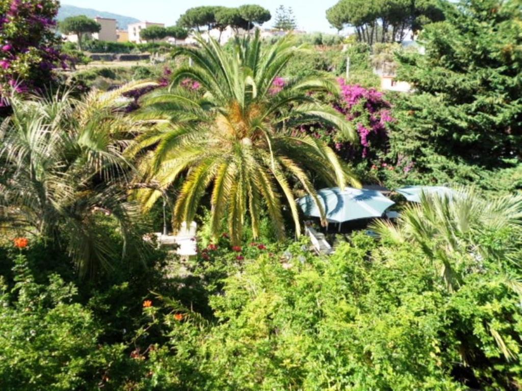 B&B Il Giardino Di Villa Anna Trecase Екстер'єр фото