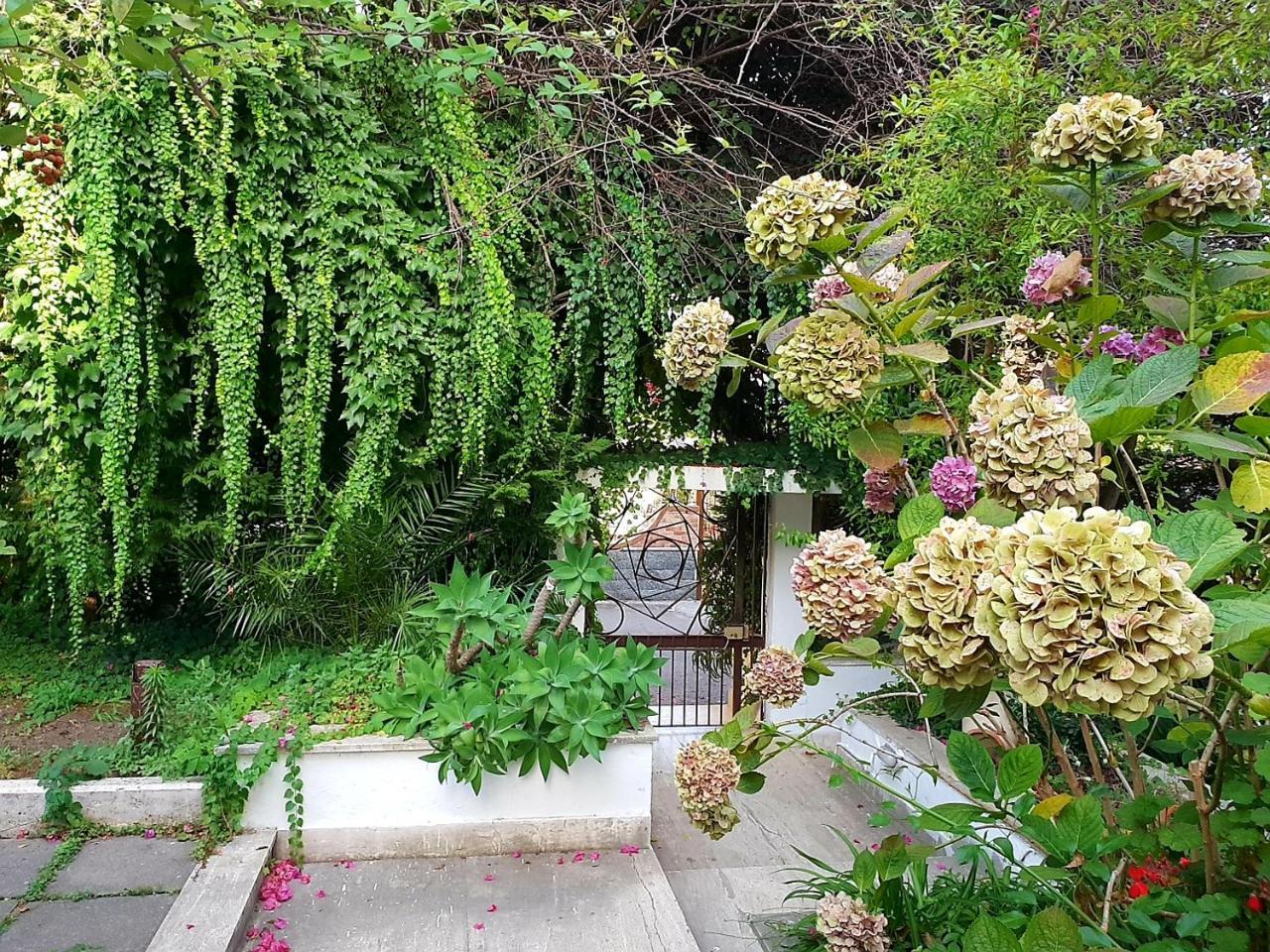 B&B Il Giardino Di Villa Anna Trecase Екстер'єр фото