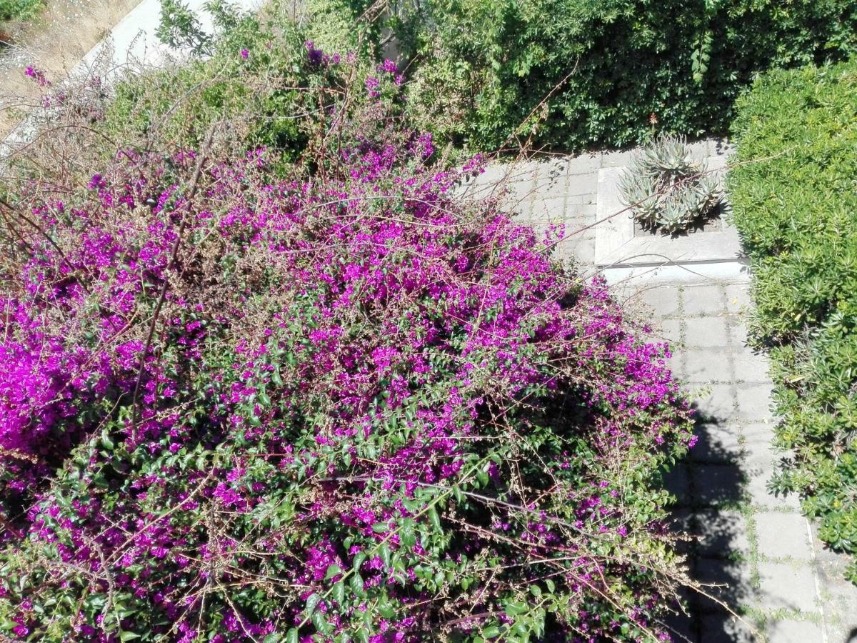 B&B Il Giardino Di Villa Anna Trecase Екстер'єр фото